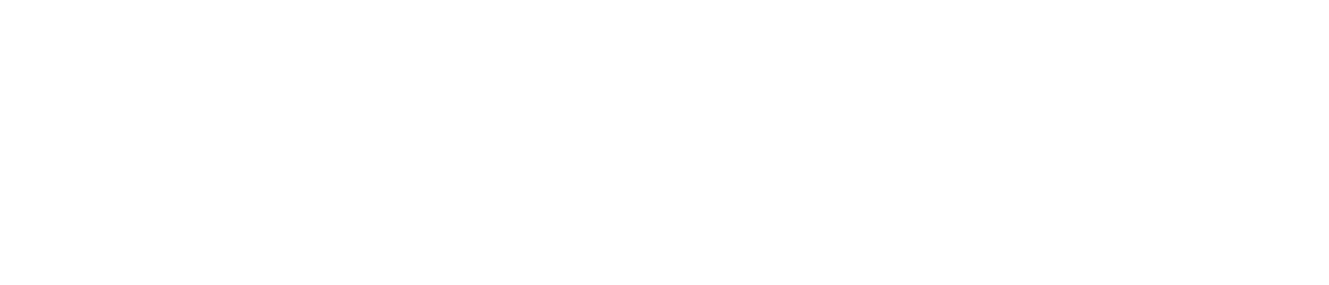 logo avante it